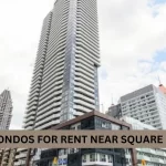 Condos For Rent Peterborough