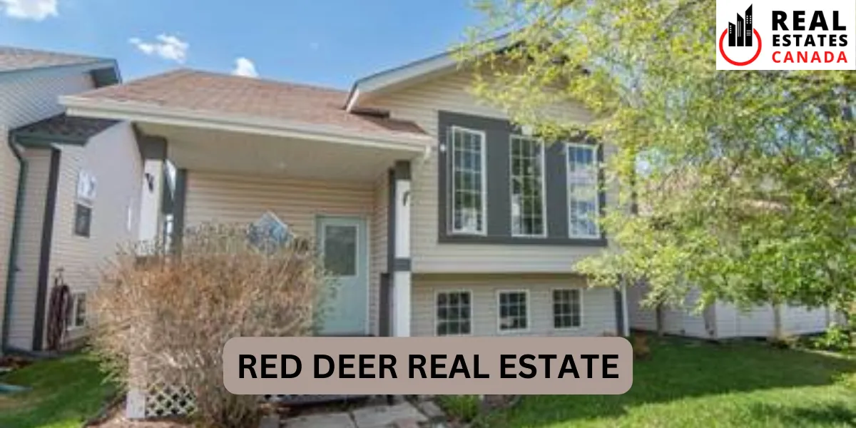 red deer real estate