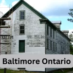 Richest Area In Toronto