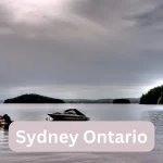 How To Invest In Real Estate Canada With No Money