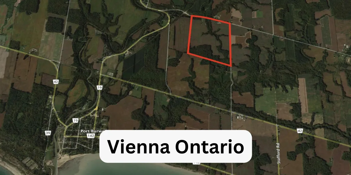 Vienna Ontario