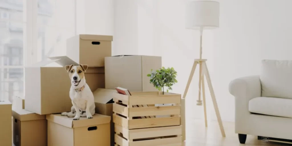 6 Tips For A Seamless Moving Day
