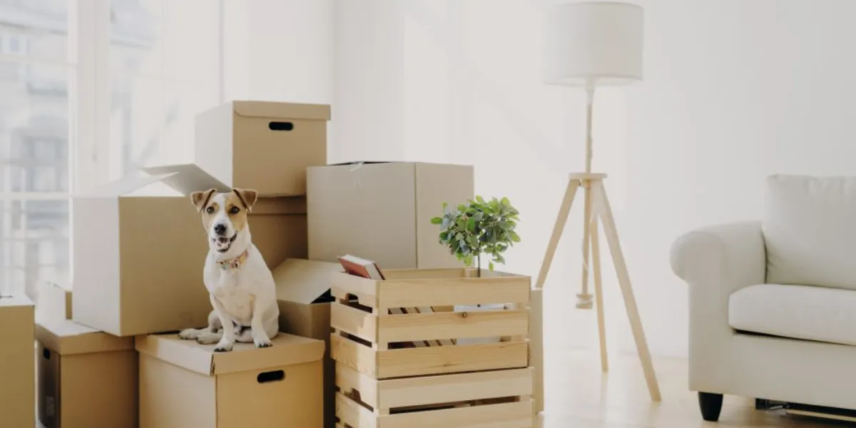 6 Tips For A Seamless Moving Day