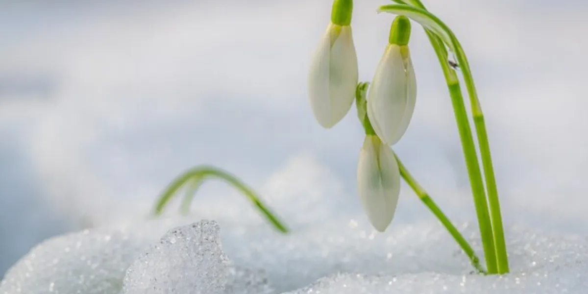 Prepare Your Home For The Spring Thaw