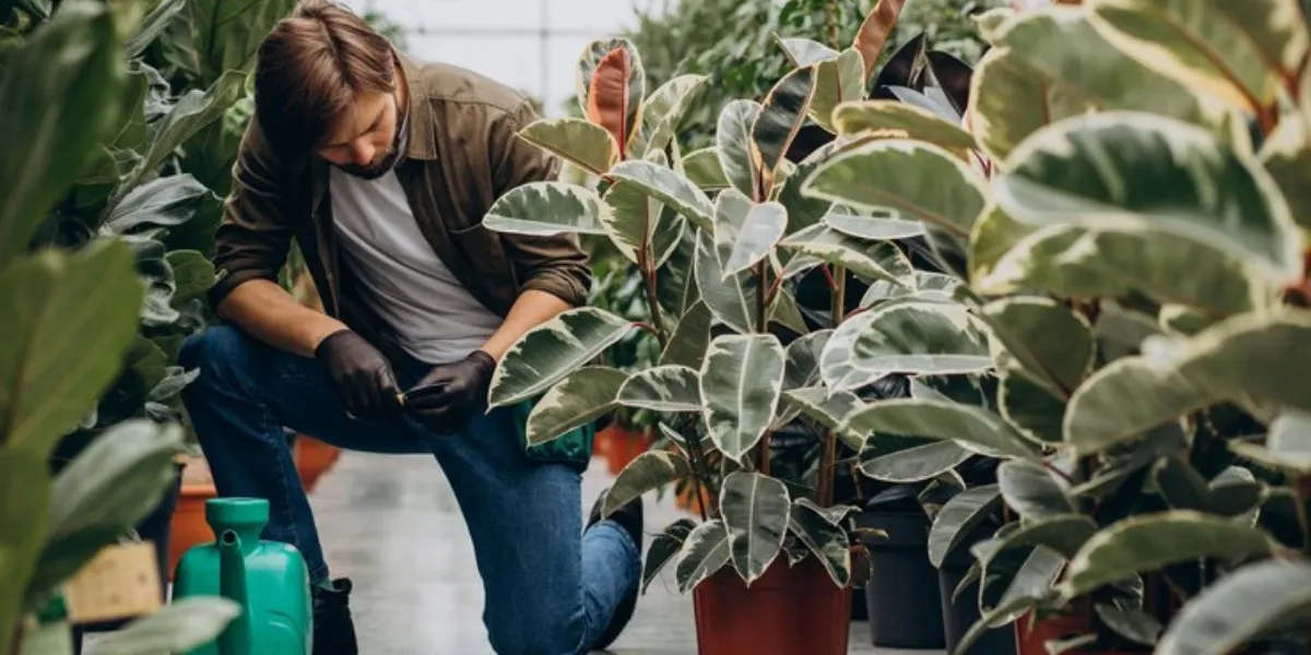 How To Keep Your Plants Happy And Healthy This Winter