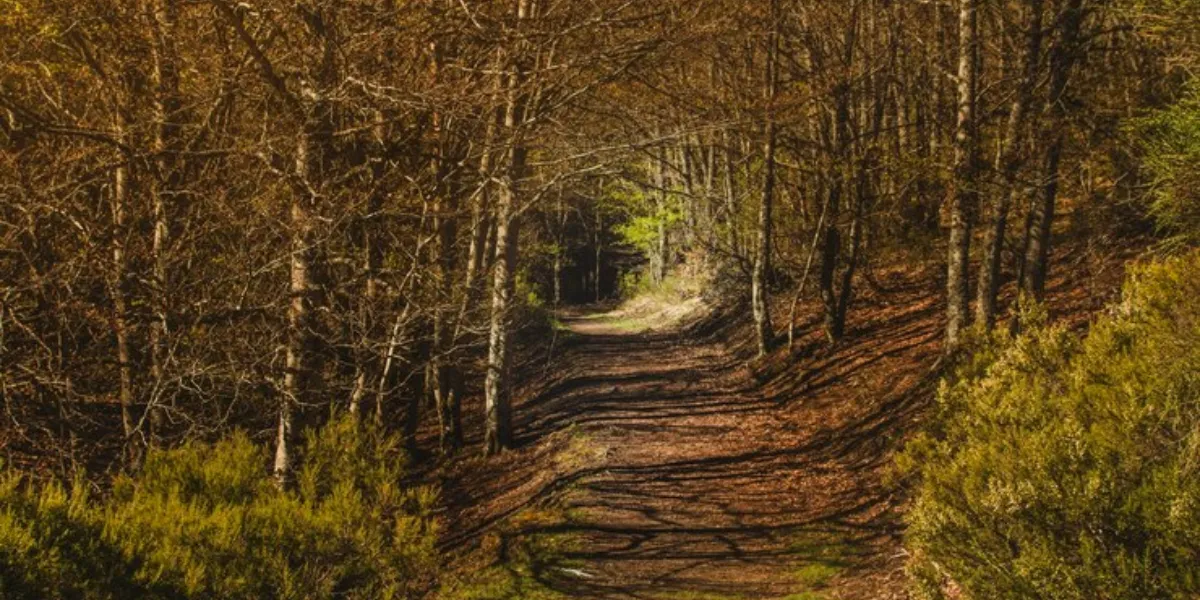 Retired Royal LePage Realtor Hikes 900-Kilometre Bruce Trail In Support Of The Royal LePage Shelter Foundation