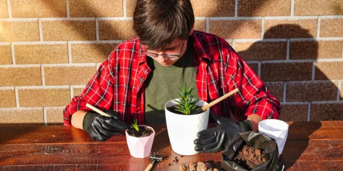 How To Keep Your Plants Happy And Healthy This Winter