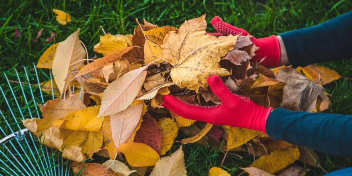 The Homeowner’s Checklist For Fall