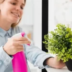 How To Choose The Ideal Location For Your Franchise