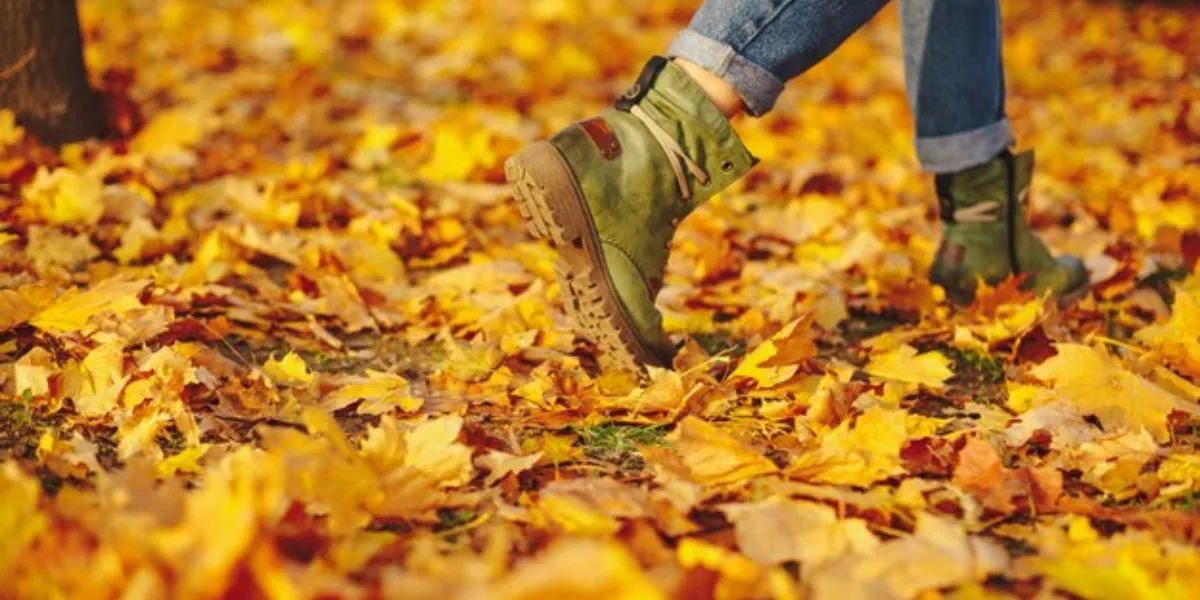 Fall Market Myths