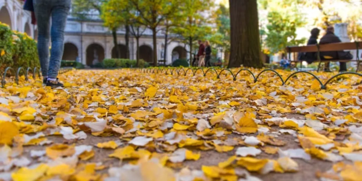 Fall Real Estate Myths