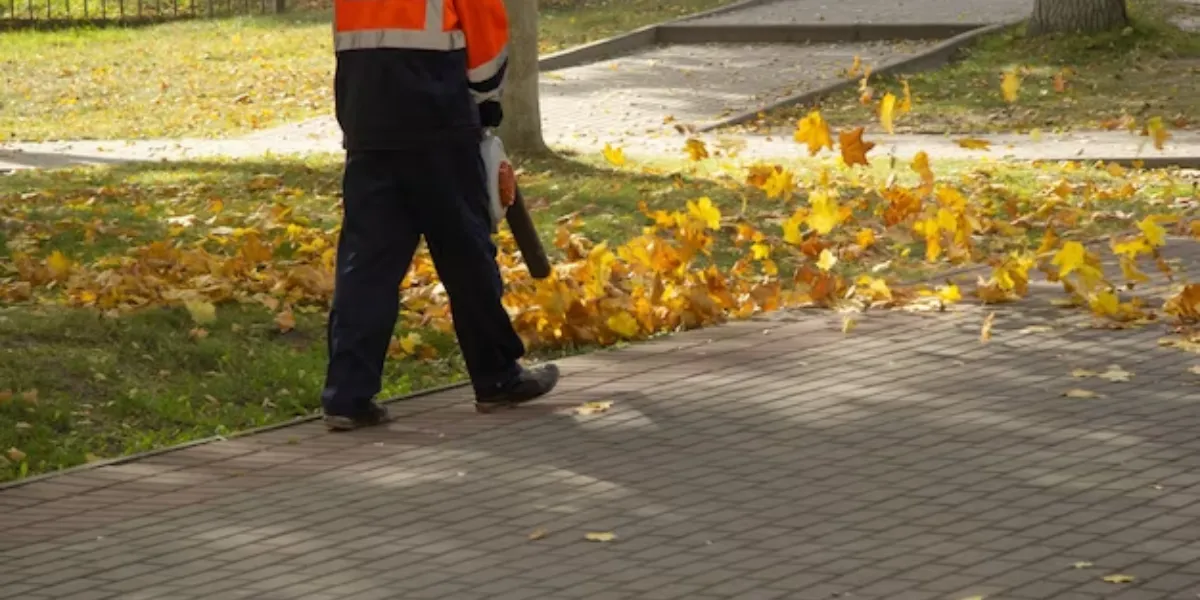 Fall Real Estate Myths