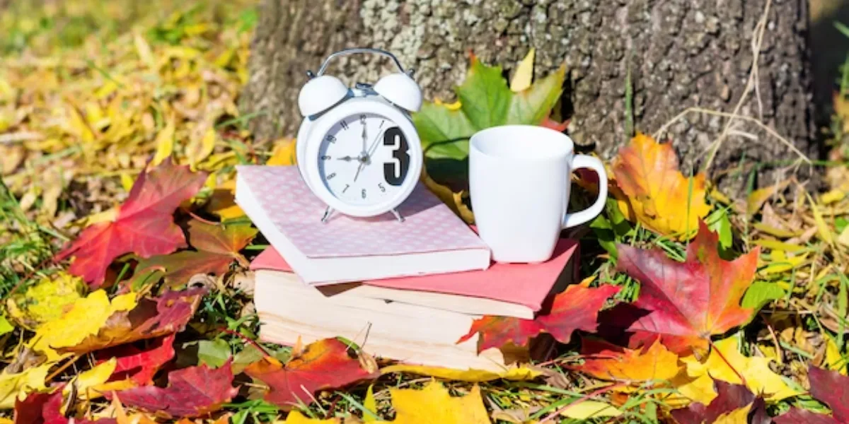 Fall Market Myths