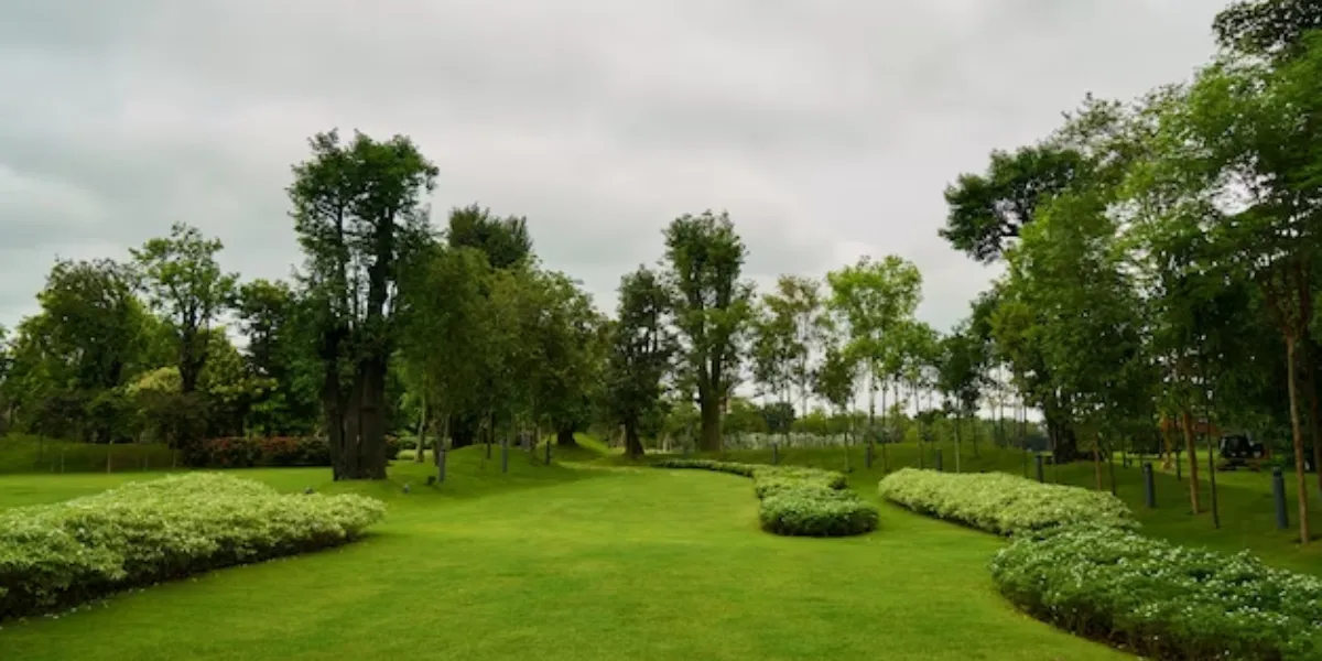 Top 5 Summer Curb Appeal Tips