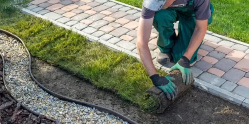 5 Landscaping Trends That Are On The Rise