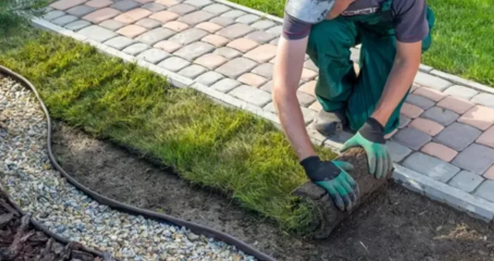 5 Landscaping Trends That Are On The Rise