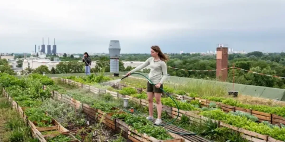 5 Landscaping Trends That Are On The Rise